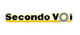 Secondo voi